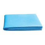 Standard Disposable Bed Sheet & Cover