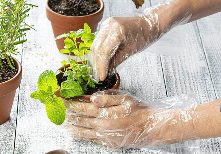 Agriculture and Gardening
